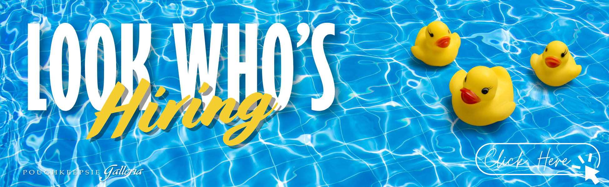 Look Who's Hiring Summer