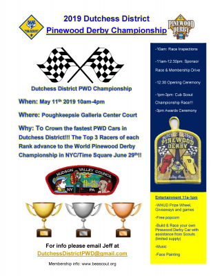 Cub Scout PWD Flyer